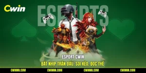 Esport Cwin - Bắt Nhịp Trận Đấu, Soi Kèo, Đọc Thế