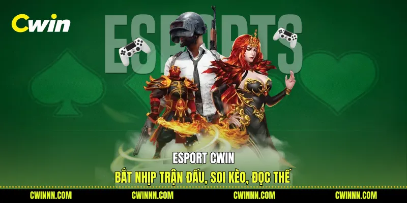 Esport Cwin - Bắt Nhịp Trận Đấu, Soi Kèo, Đọc Thế