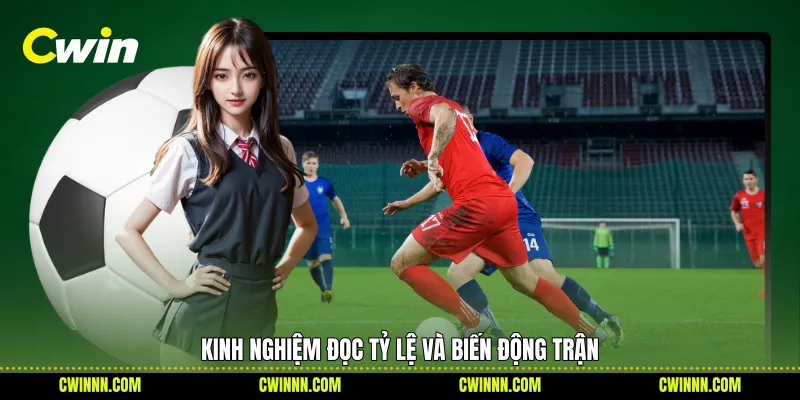 Kinh nghiệm đọc tỷ lệ và biến động trận
