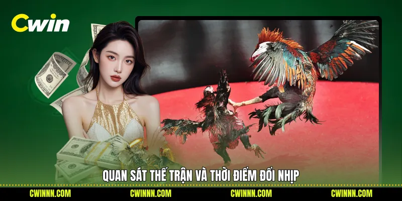 Quan sát thế trận và thời điểm đổi nhịp